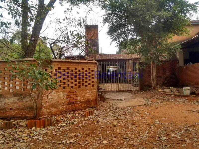 CHACARÁ NO PARQUE TROPICAL