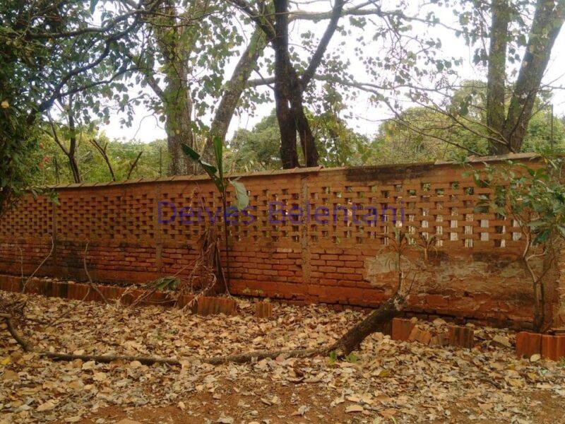 CHACARÁ NO PARQUE TROPICAL