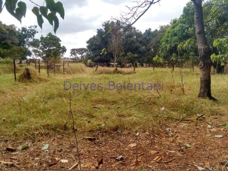 CHACARÁ NO PARQUE TROPICAL