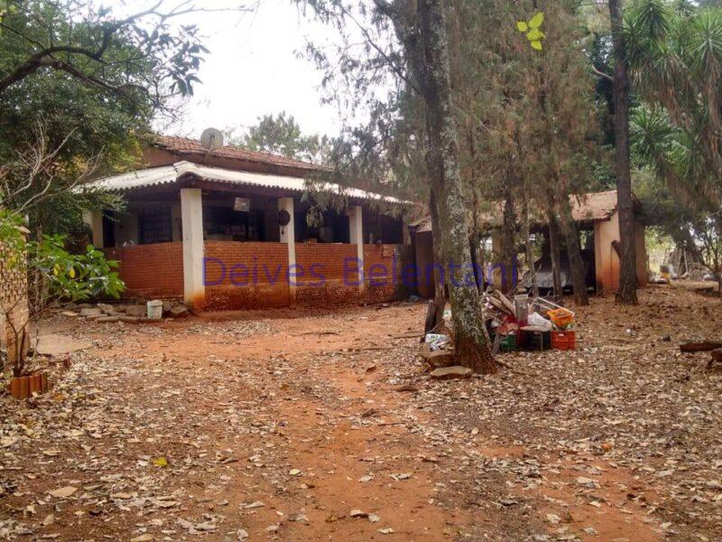 CHACARÁ NO PARQUE TROPICAL