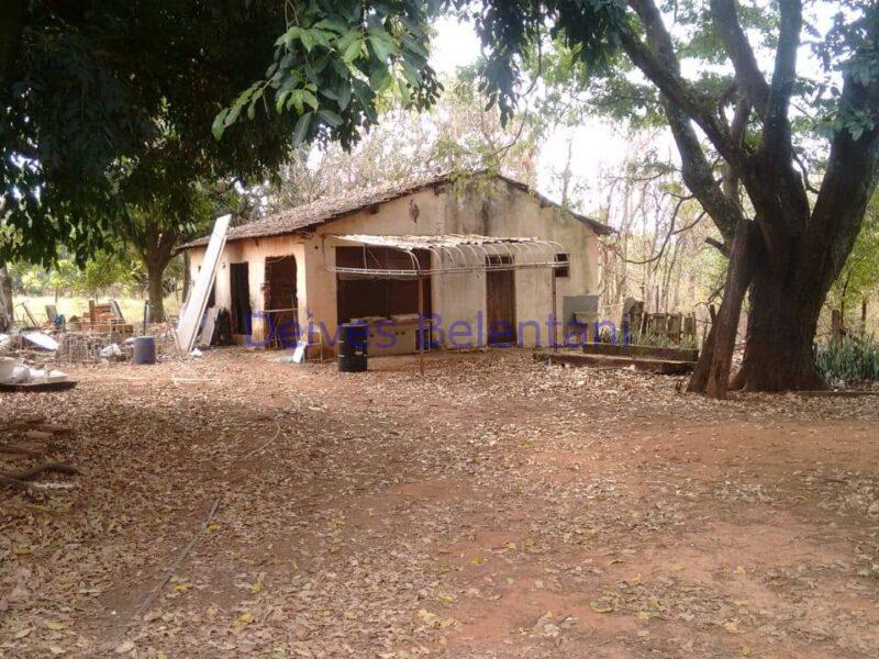 CHACARÁ NO PARQUE TROPICAL