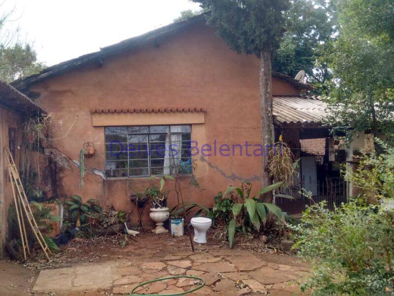 CHACARÁ NO PARQUE TROPICAL