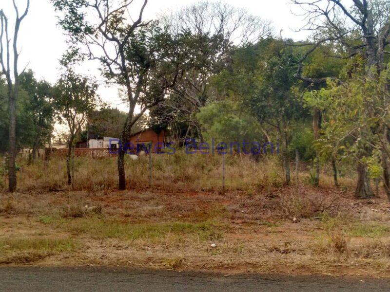 CHACARÁ NO PARQUE TROPICAL